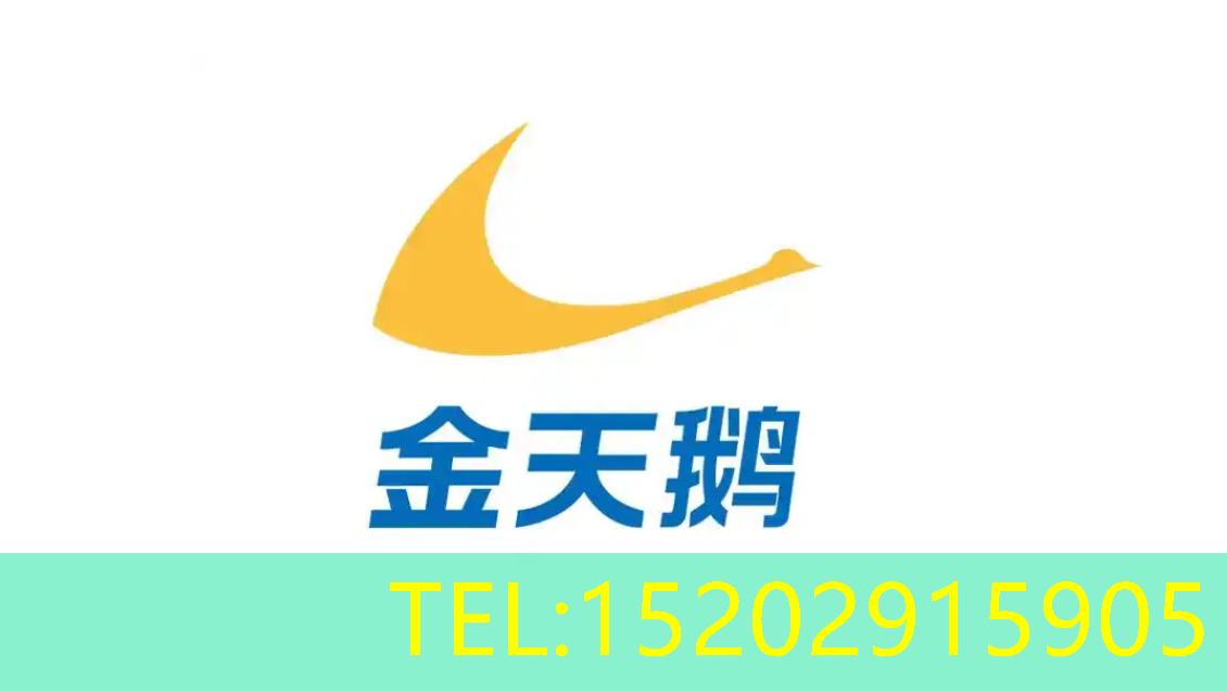 金天鹅收银系统
